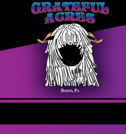 Grateful Acres Valais Sheep and Kune Kune Pigs